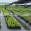 plastic ground cover breathable mesh fabric