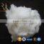 Pure Dehaired Raw Cashmere Wool Fiber