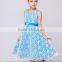 Dress Summer Lace Princess Dress Girls Dress