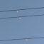 Electric Power Overhead Line Current Fault Indicator