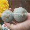free sample wool balls xl 6 pack for cat