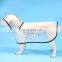 Amazon hot selling pet dog raincoat hooded pet waterproof poncho dog raincoat transparent