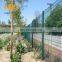 Made in China cheap peach post welded wire mesh garden fencing for sale