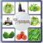 Industrial Blanching Machine Vegetables Blanching Vegetable Blanching Machine