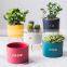 Home Decor Accessories Succulent Planter Small Ceramic Flower Pots Violet Chaozhou Office Table Plant Ceramic Pot With Stand