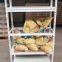 5-Layer Bolt Free Shelf Angle Steel Light Duty Industrial Warehouse Shelf