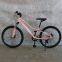 alloy mountain bicycle/bike/cycle/BIKE 24