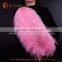 China factory wholesale ostrich feather from south africa