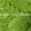 Certified Moringa Leaf Powder Bulk Traders