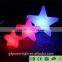 LED light art craft with remote control YXF-2107F