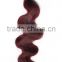 Body Wave 100% malaysian curly virgin hair with rapid delivery