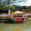 Electric pleasure crafts for park