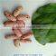 light speckled kidney beans supplier(long shape)