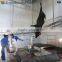 Cattle Slaughtering Bleeding Conveyor Line