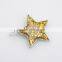 Body Jewelry Silver Gold Star Druzy Brooch Pins