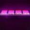 Veg & Flower modes higher crops yield and quality 1600w led grow lights