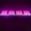 Veg & Flower modes higher crops yield and quality 1600w led grow lights