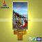 TFT LCD IPS display module 5 inch IPS full viewing angle and high brightness and sunlight readable