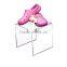 acrylic shoe stand