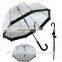 23"*8K dome shape promotion straight transparent umbrella