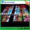 wholesale price Ledcolourlight trade assurance dmx studio led panel light
