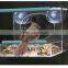 wholesale acrylic window hummingbird feeders