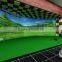 3D screen simulated golf