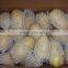 Fresh potato price per ton