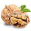 hot sell raw walnut, thin shell walnut price
