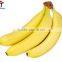 Direct factory price the good quality Ethylene Ripener for banana(16)