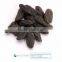 CUMARU TONKA BEAN (ON SALE!)