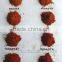 2015 Crop Sweet Paprika Powder 120 Asta