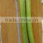 Early maturity Hybrid F1 Luffa seeds Wave F1