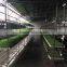 1000-100000KG/DAY Automatic Heating and Watering Hydroponic Fodder Production Line