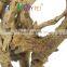 Nomo Driftwood sinking spider wood for fish aquarium freshwater tropical reptile