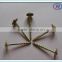 china Colour painted Umbrella Head Roofing Nails With rubber washer