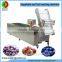 New developed fruit and vegetable washer machine with ozone, automatic air bubble fruit and vegetable cleaner