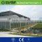 The Cheapest and Easily Installed PC material Agricultural/ Commercial Green House