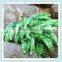 Artificial outdoor and indoor fern plants for decoration