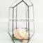 geometric glass terrarium for flower decor