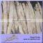 Sea Frozen Precooked 7.5kg Packed Bonito Loin