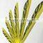 Striped Plastic Vanes Carbon Arrows with pin nocks