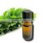 celery oil