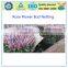 10*1cm Rose Bud Protection Netting