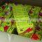 0.18*19*10 NITTO DENKO Adhesive Tapes 903UL