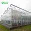 Commercial Agricultural Glass Greenhouse With Low Price