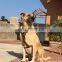 Wholesale Best Selling Pet  Leather Dog Harness Search and Rescue Dog  Harness