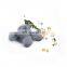 New Arrival 12 Colors Dried Flowers 3d Natural Gyps Nail Art Decorations