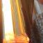 500V 5900W 3870mm Twin Tube Quartz Infrared Heating Lamp