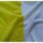 Coral Fleece Fabric One Side Brush And Anti Pilling Coral Velvet Fabric Wholesale